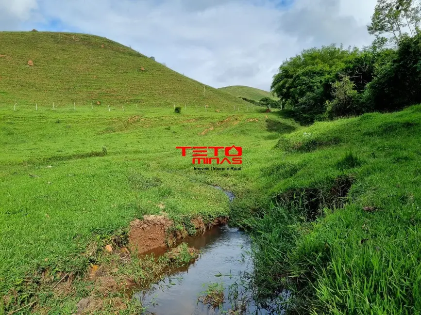 Chácara à venda em Pouso Alto - MG - imagem 5 Foto 5 de Chácara à venda em Pouso Alto - MG