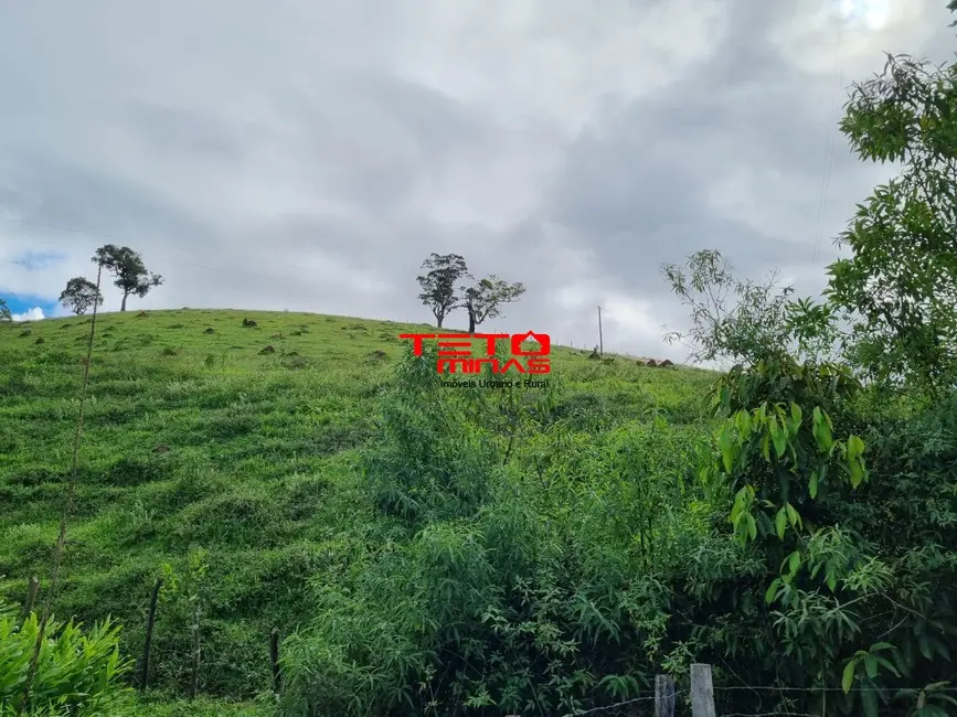 Chácara à venda em Pouso Alto - MG - imagem 10 Foto 10 de Chácara à venda em Pouso Alto - MG