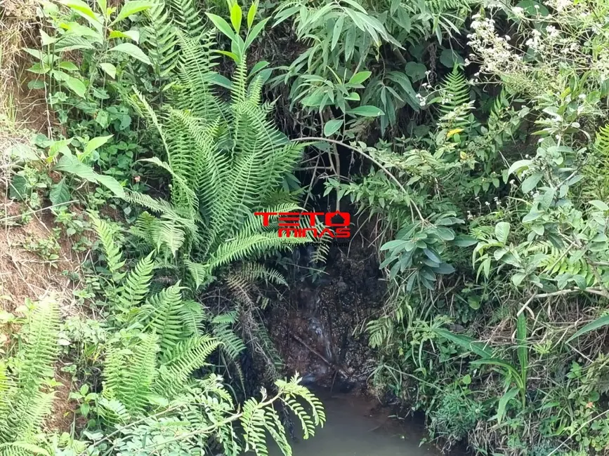 Chácara à venda em Pouso Alto - MG - imagem 9 Foto 9 de Chácara à venda em Pouso Alto - MG