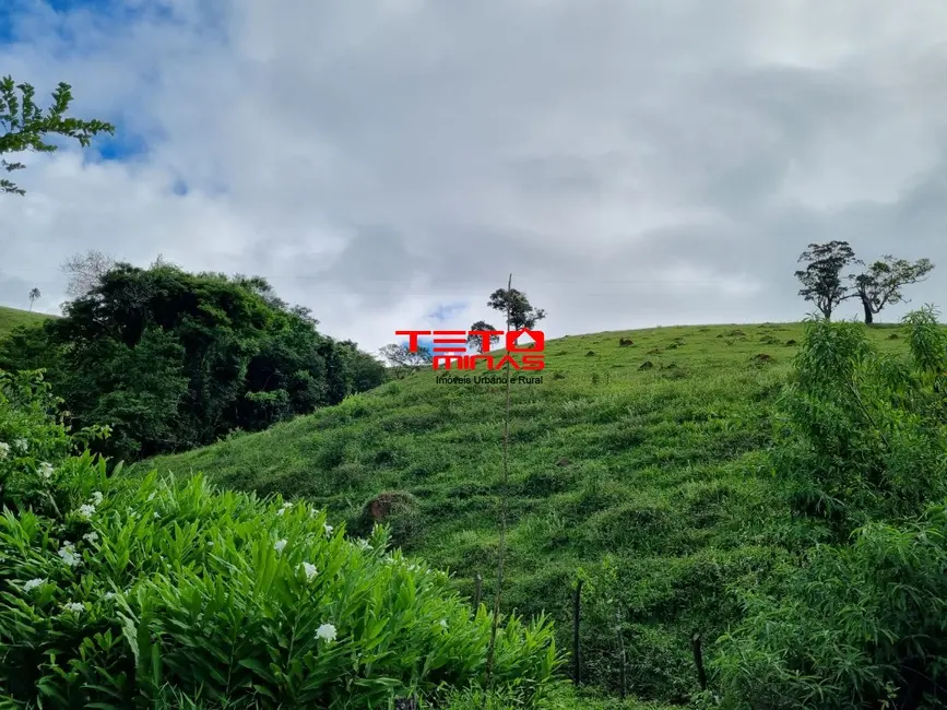 Chácara à venda em Pouso Alto - MG - imagem 14 Foto 14 de Chácara à venda em Pouso Alto - MG