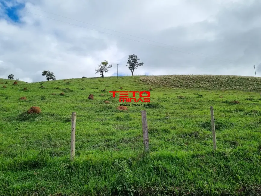 Chácara à venda em Pouso Alto - MG - imagem 18 Foto 18 de Chácara à venda em Pouso Alto - MG