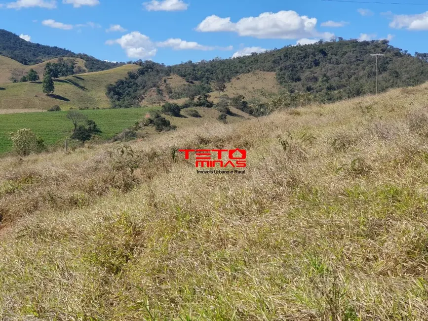 Foto 14 de Chácara à venda em Sao Lourenco - MG