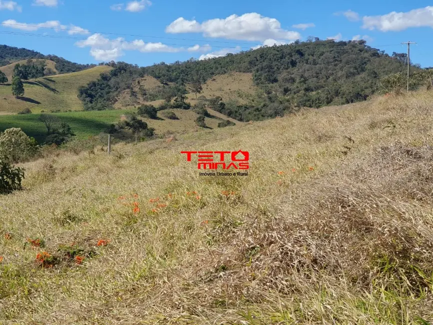 Foto 29 de Chácara à venda em Sao Lourenco - MG