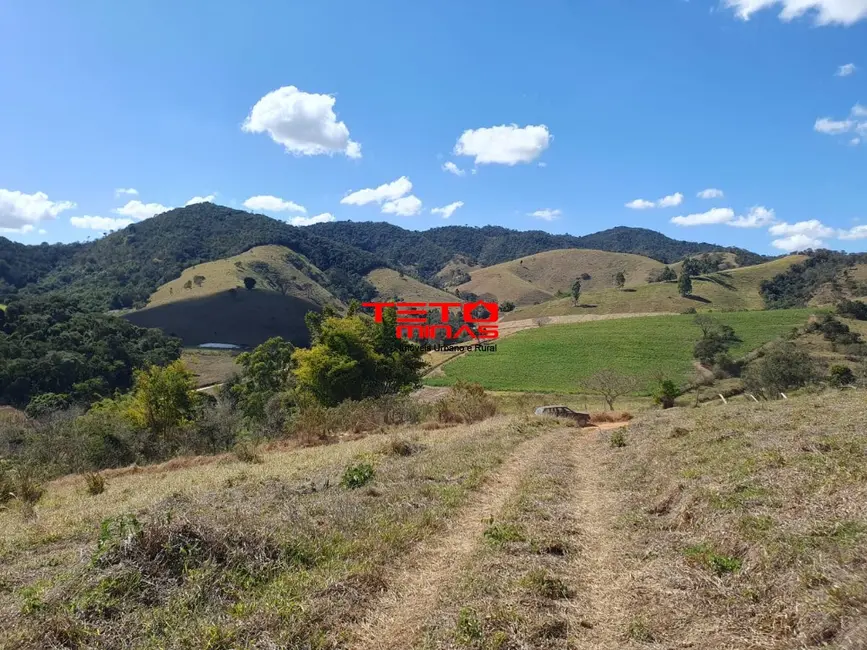 Foto 27 de Chácara à venda em Sao Lourenco - MG