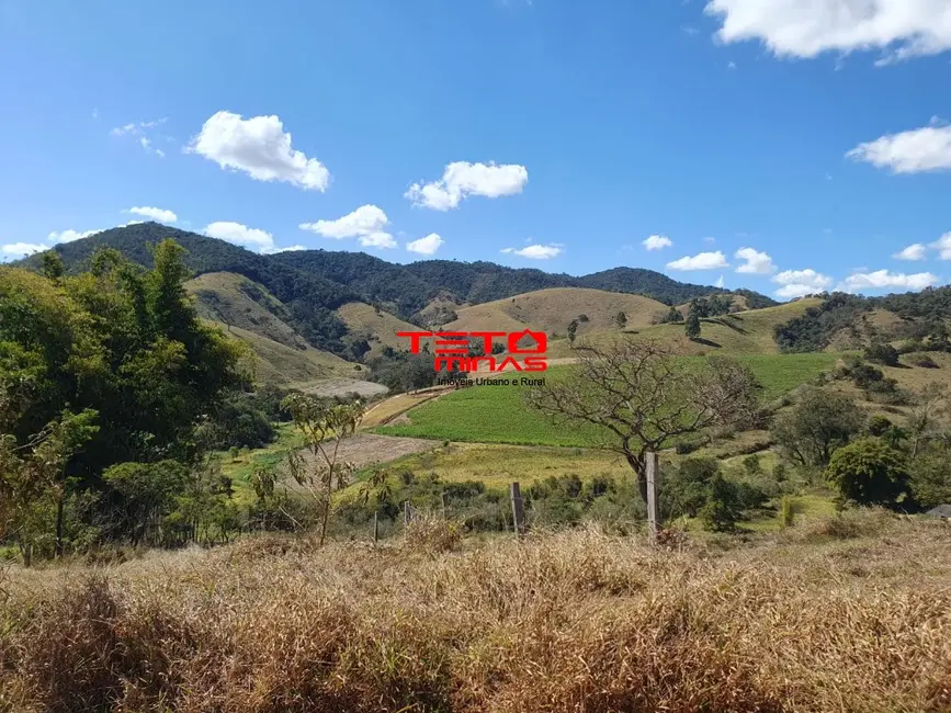 Foto 21 de Chácara à venda em Sao Lourenco - MG