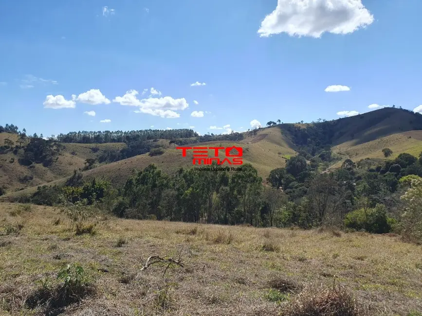 Foto 25 de Chácara à venda em Sao Lourenco - MG