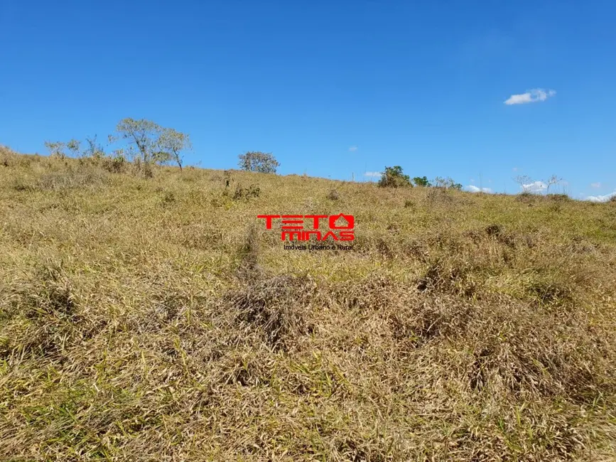 Foto 19 de Chácara à venda em Sao Lourenco - MG