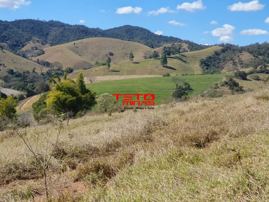 Foto 13 de Chácara à venda em Sao Lourenco - MG