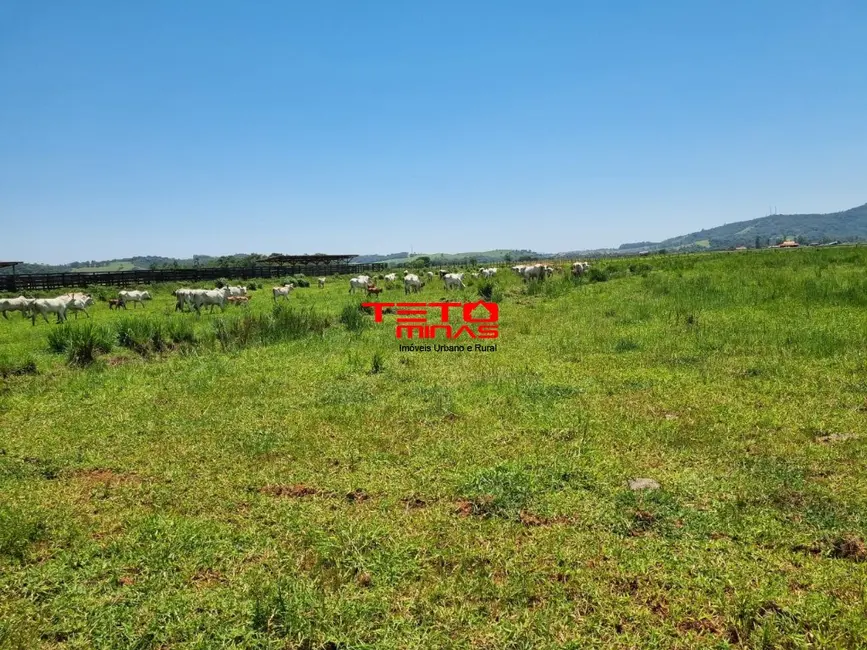 Sítio / Rancho à venda, 175m2 em Área Rural de Pouso Alegre, Pouso Alegre - MG - imagem 5 Foto 5 de Sítio / Rancho à venda, 175m2 em Área Rural de Pouso Alegre, Pouso Alegre - MG