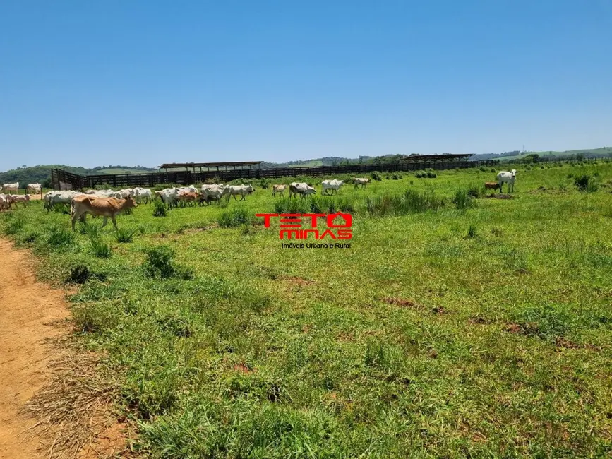 Sítio / Rancho à venda, 175m2 em Área Rural de Pouso Alegre, Pouso Alegre - MG - imagem 4 Foto 4 de Sítio / Rancho à venda, 175m2 em Área Rural de Pouso Alegre, Pouso Alegre - MG