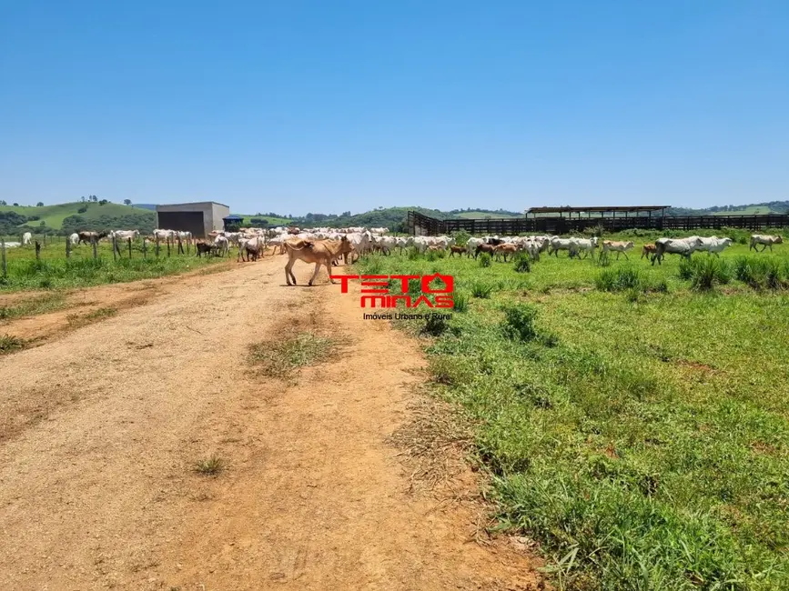 Sítio / Rancho à venda, 175m2 em Área Rural de Pouso Alegre, Pouso Alegre - MG - imagem 8 Foto 8 de Sítio / Rancho à venda, 175m2 em Área Rural de Pouso Alegre, Pouso Alegre - MG