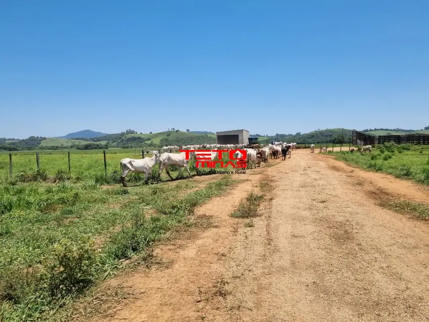 Sítio / Rancho à venda, 175m2 em Área Rural de Pouso Alegre, Pouso Alegre - MG - imagem 9 Foto 9 de Sítio / Rancho à venda, 175m2 em Área Rural de Pouso Alegre, Pouso Alegre - MG