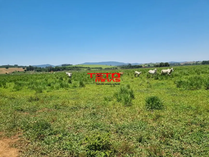 Sítio / Rancho à venda, 175m2 em Área Rural de Pouso Alegre, Pouso Alegre - MG - imagem 7 Foto 7 de Sítio / Rancho à venda, 175m2 em Área Rural de Pouso Alegre, Pouso Alegre - MG