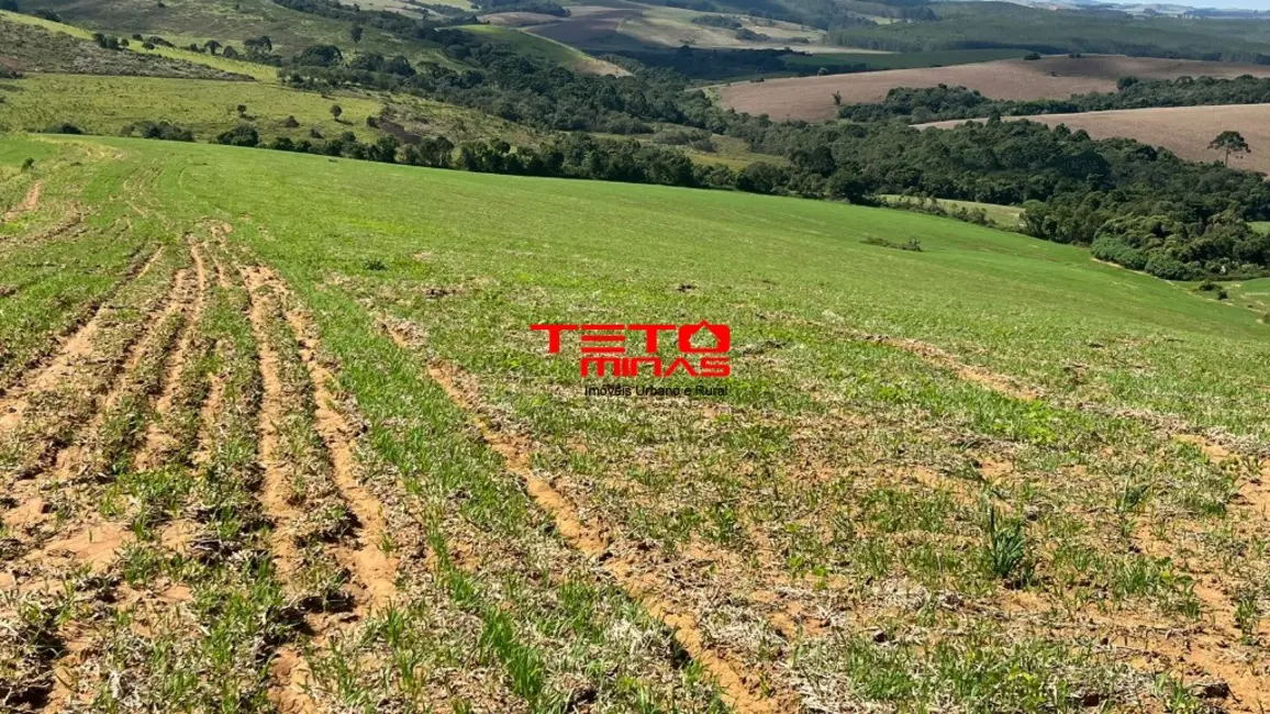 Fazenda / Haras à venda em Sao Lourenco - MG - imagem 7 Foto 7 de Fazenda / Haras à venda em Sao Lourenco - MG