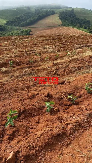 Foto 31 de Fazenda / Haras à venda em Muzambinho - MG