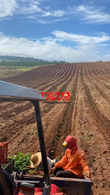 Foto 33 de Fazenda / Haras à venda em Muzambinho - MG