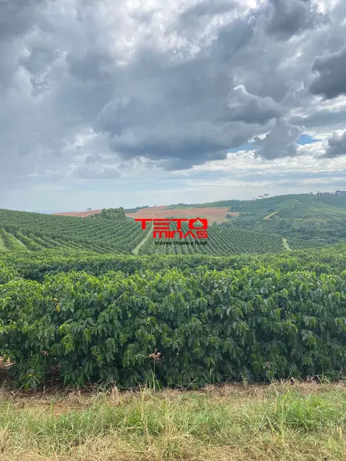 Foto 10 de Fazenda / Haras à venda em Muzambinho - MG