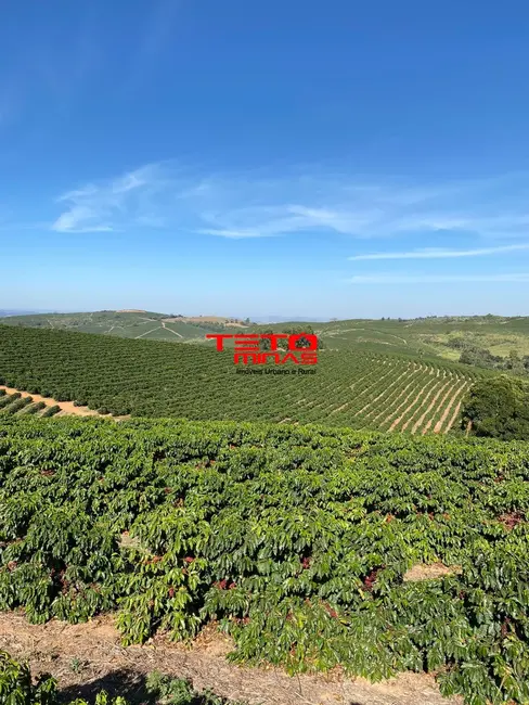 Foto 16 de Fazenda / Haras à venda em Muzambinho - MG