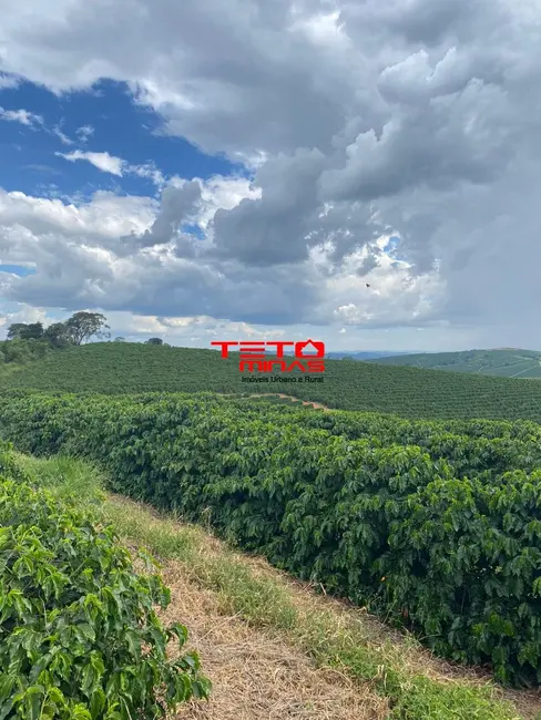 Foto 22 de Fazenda / Haras à venda em Muzambinho - MG