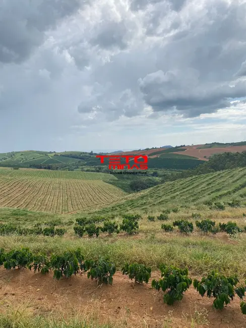 Foto 21 de Fazenda / Haras à venda em Muzambinho - MG