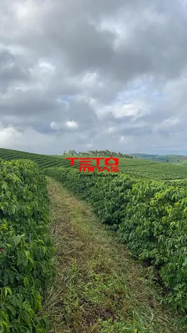 Foto 9 de Fazenda / Haras à venda em Muzambinho - MG