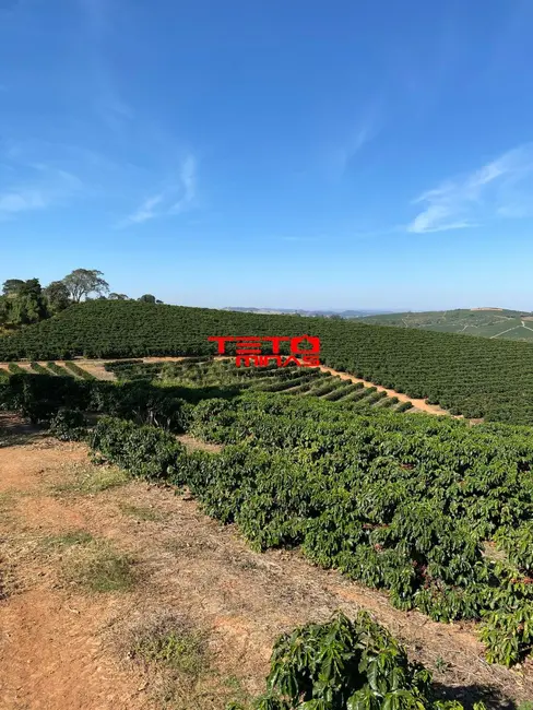 Foto 23 de Fazenda / Haras à venda em Muzambinho - MG