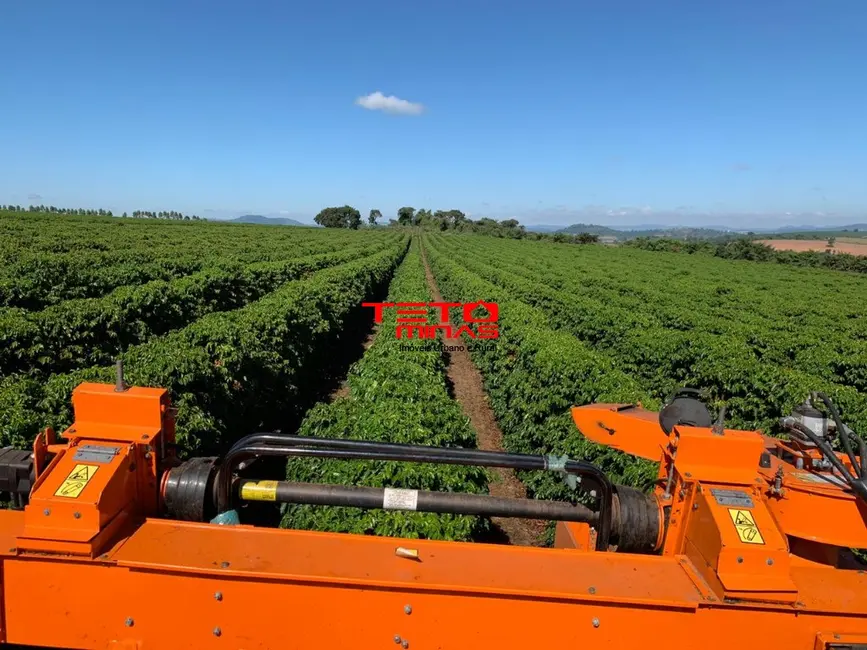 Foto 15 de Fazenda / Haras à venda em Piumhi - MG