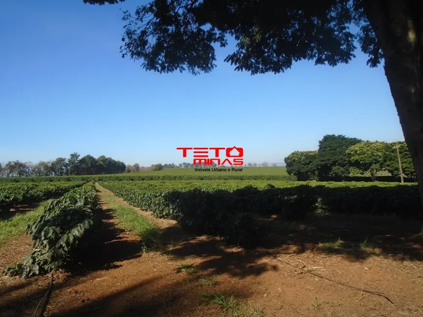 Foto 43 de Fazenda / Haras à venda em Piumhi - MG