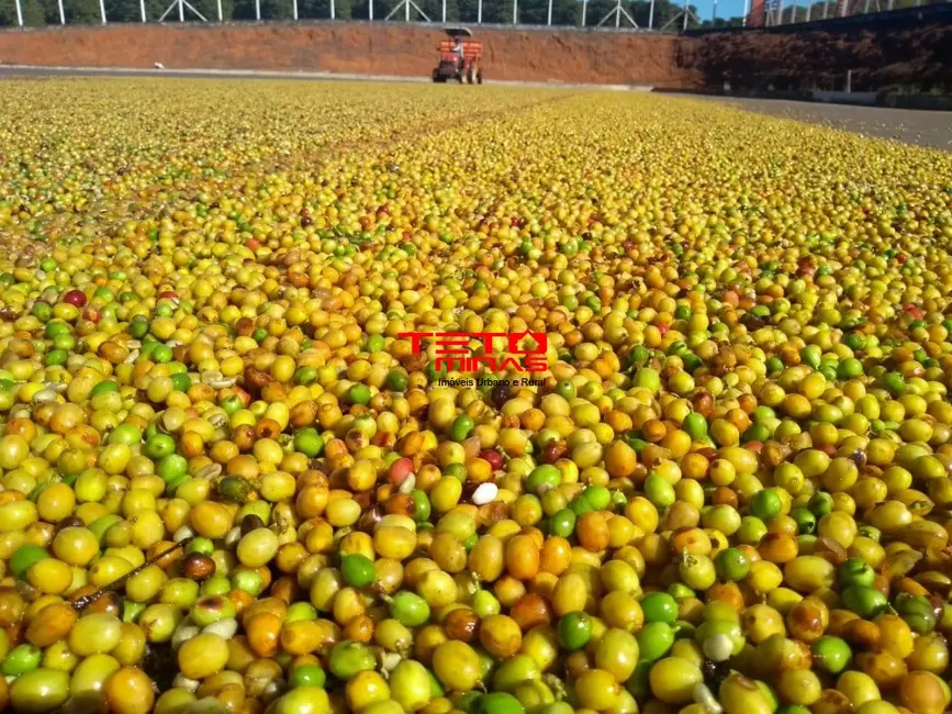 Foto 4 de Fazenda / Haras à venda em Piumhi - MG