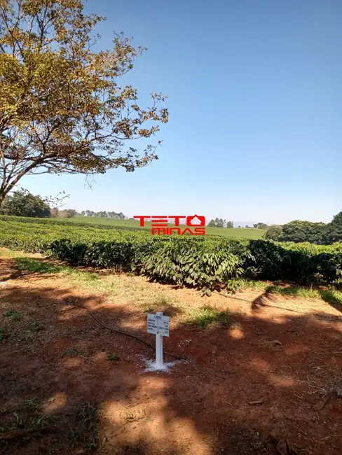 Foto 48 de Fazenda / Haras à venda em Piumhi - MG