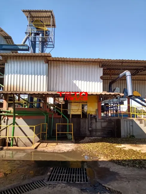 Foto 25 de Fazenda / Haras à venda em Piumhi - MG