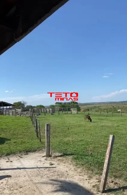Foto 7 de Fazenda / Haras à venda em Carmo Do Rio Claro - MG