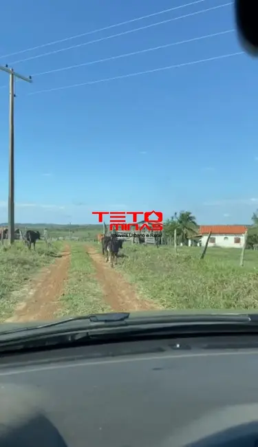 Foto 3 de Fazenda / Haras à venda em Carmo Do Rio Claro - MG
