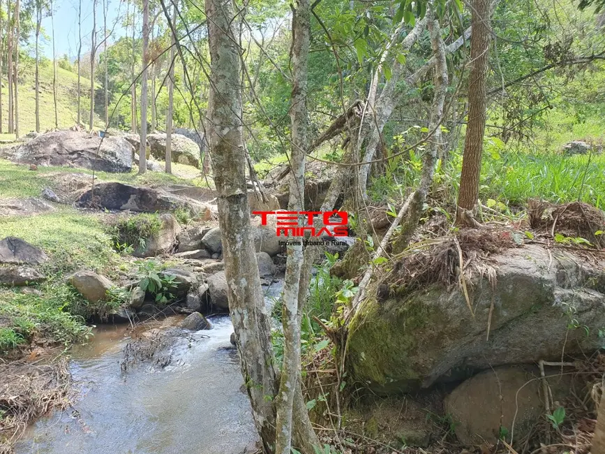 Foto 5 de Sítio / Rancho à venda em Dom Vicoso - MG