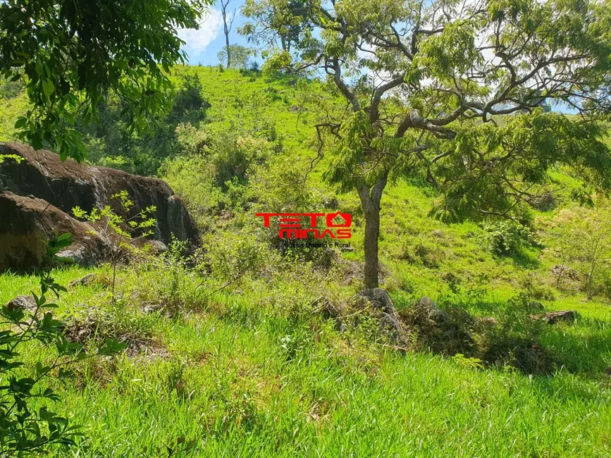 Foto 4 de Sítio / Rancho à venda em Dom Vicoso - MG