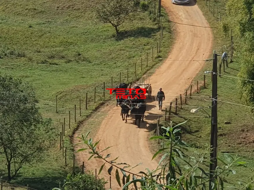 Chácara à venda em Soledade De Minas - MG - imagem 3 Foto 3 de Chácara à venda em Soledade De Minas - MG