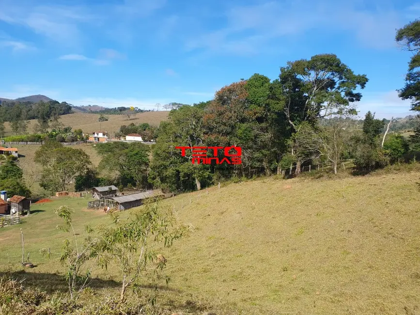 Chácara à venda em Soledade De Minas - MG - imagem 8 Foto 8 de Chácara à venda em Soledade De Minas - MG