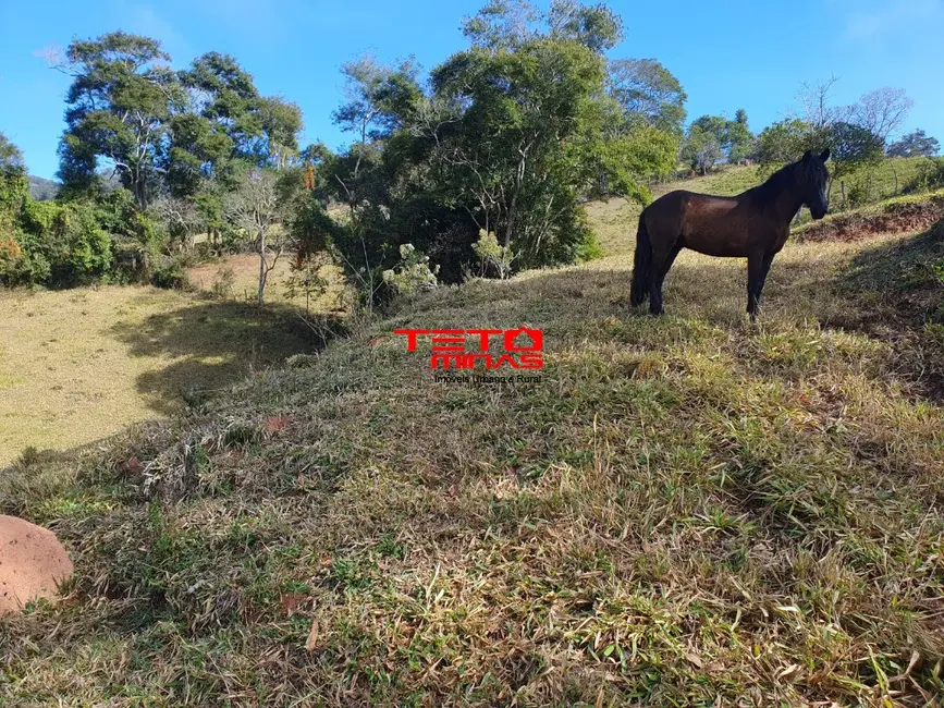 Chácara à venda em Soledade De Minas - MG - imagem 2 Foto 2 de Chácara à venda em Soledade De Minas - MG