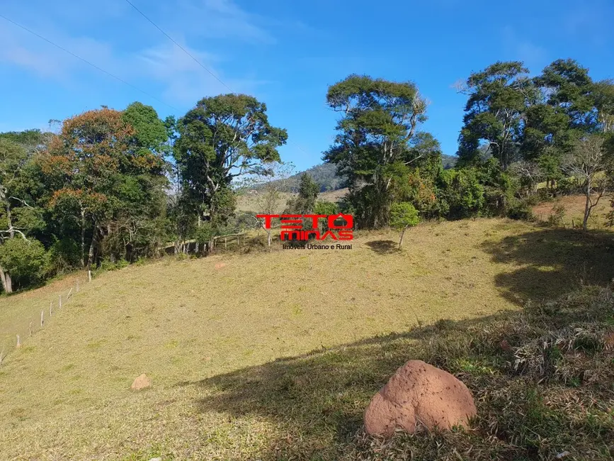 Chácara à venda em Soledade De Minas - MG - imagem 7 Foto 7 de Chácara à venda em Soledade De Minas - MG