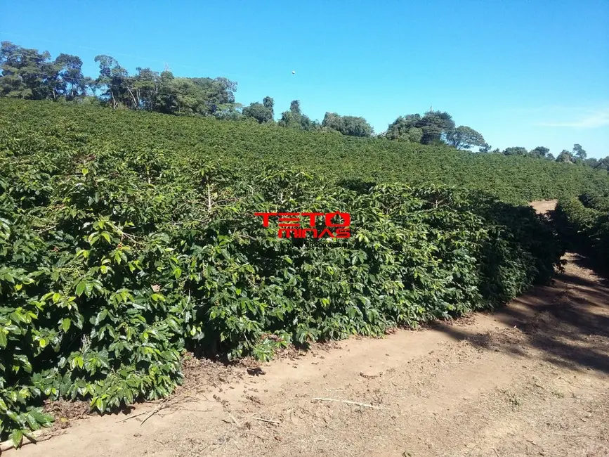 Foto 27 de Fazenda / Haras à venda em Campanha - MG