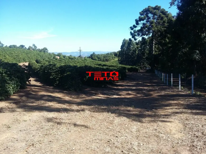 Foto 24 de Fazenda / Haras à venda em Campanha - MG