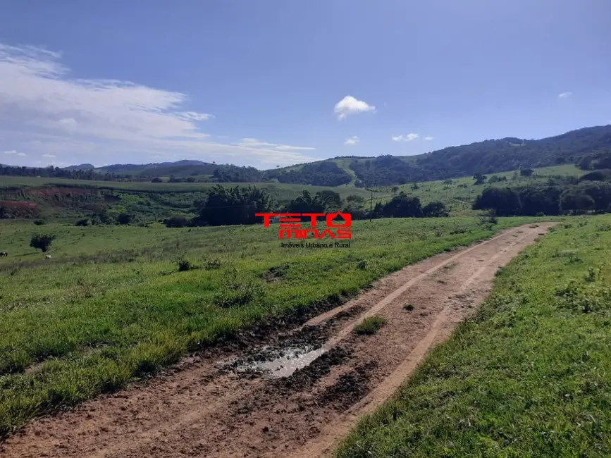Foto 2 de Fazenda / Haras à venda em Pouso Alegre - MG