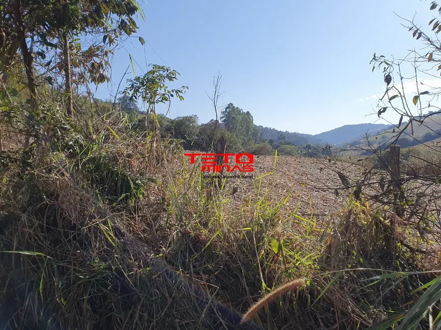 Foto 6 de Sítio / Rancho à venda em Sao Sebastiao Do Rio Verde - MG