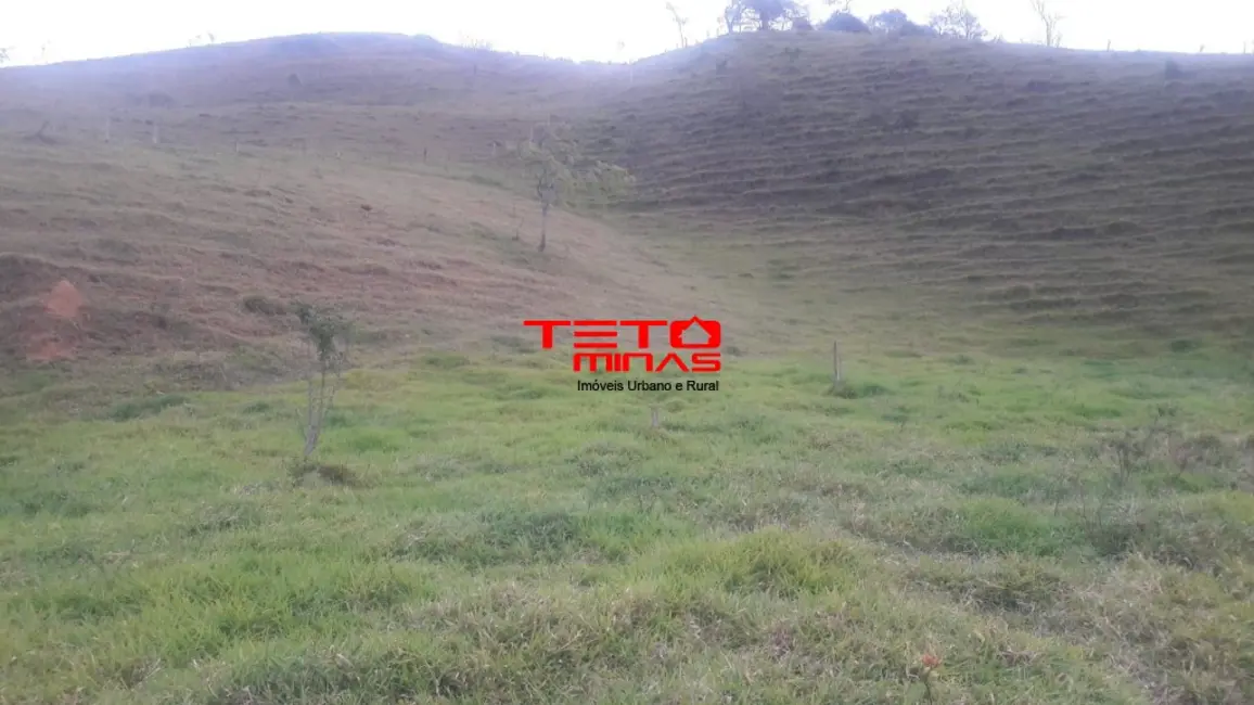 Foto 4 de Sítio / Rancho à venda em Lavrinhas - SP