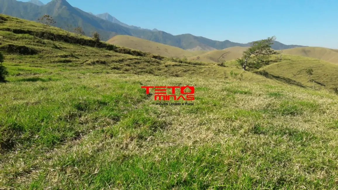 Foto 11 de Sítio / Rancho à venda em Lavrinhas - SP