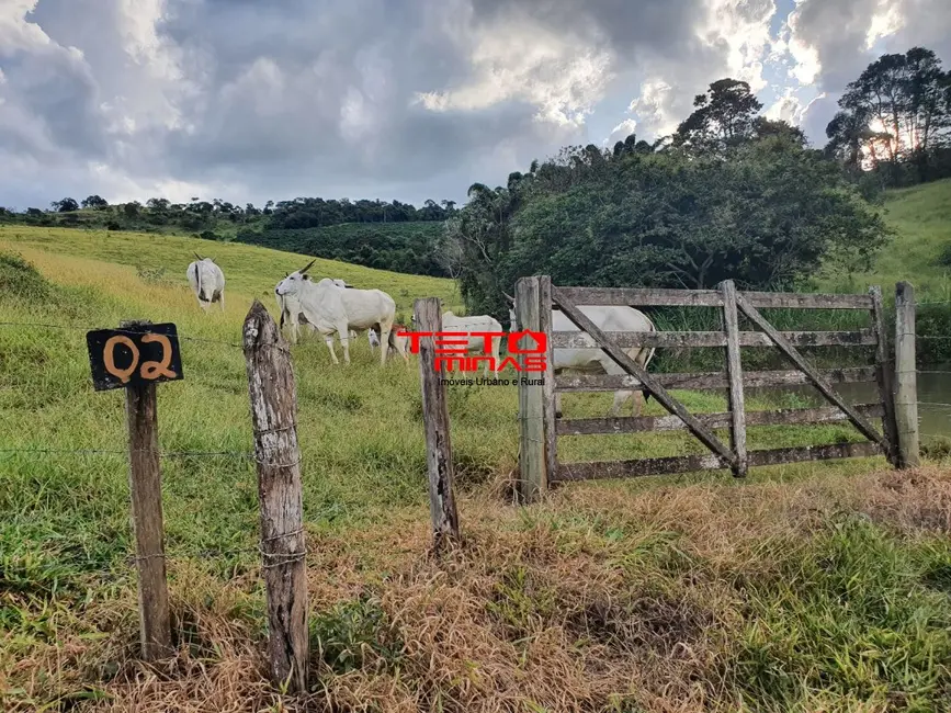 Foto 6 de Fazenda / Haras à venda em Santo Antonio Do Amparo - MG