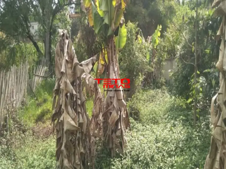 Casa com 3 quartos à venda, 70m2 em Sao Lourenco - MG - imagem 9 Foto 9 de Casa com 3 quartos à venda, 70m2 em Sao Lourenco - MG