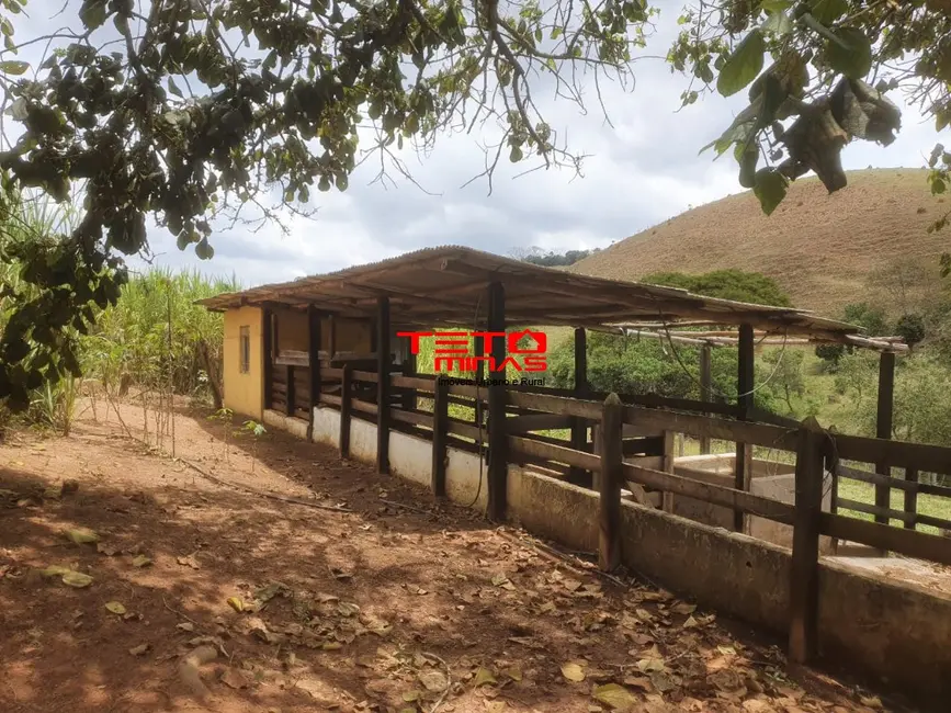 Chácara com 2 quartos à venda, 190m2 em Sao Lourenco - MG - imagem 3 Foto 3 de Chácara com 2 quartos à venda, 190m2 em Sao Lourenco - MG