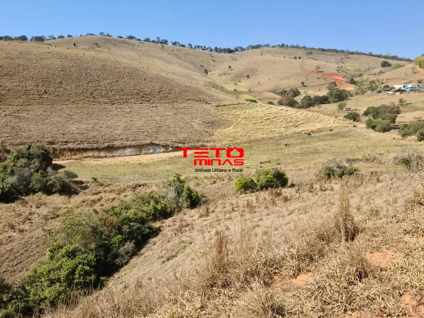 Fazenda / Haras com 2 quartos à venda em Pouso Alto - MG - imagem 9 Foto 9 de Fazenda / Haras com 2 quartos à venda em Pouso Alto - MG