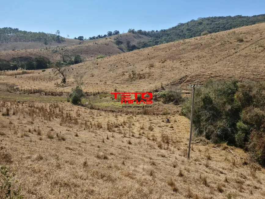 Fazenda / Haras com 2 quartos à venda em Pouso Alto - MG - imagem 3 Foto 3 de Fazenda / Haras com 2 quartos à venda em Pouso Alto - MG